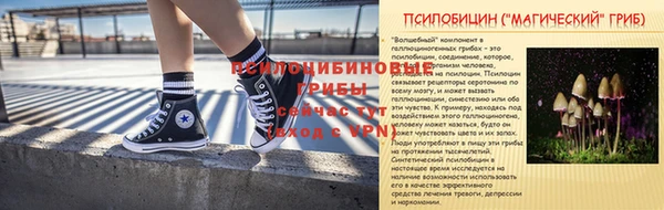 крисы Михайлов