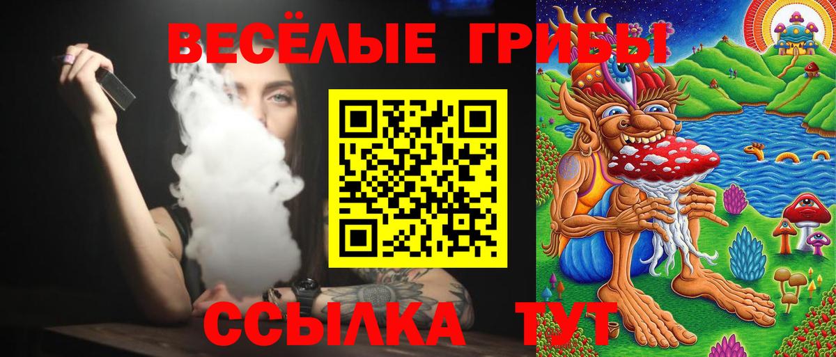 Мичуринск  Псилоцибиновые грибы GOLDEN TEACHER  Галлюциногенные грибы Magic Shrooms  купить закладку  Вход с VPN 